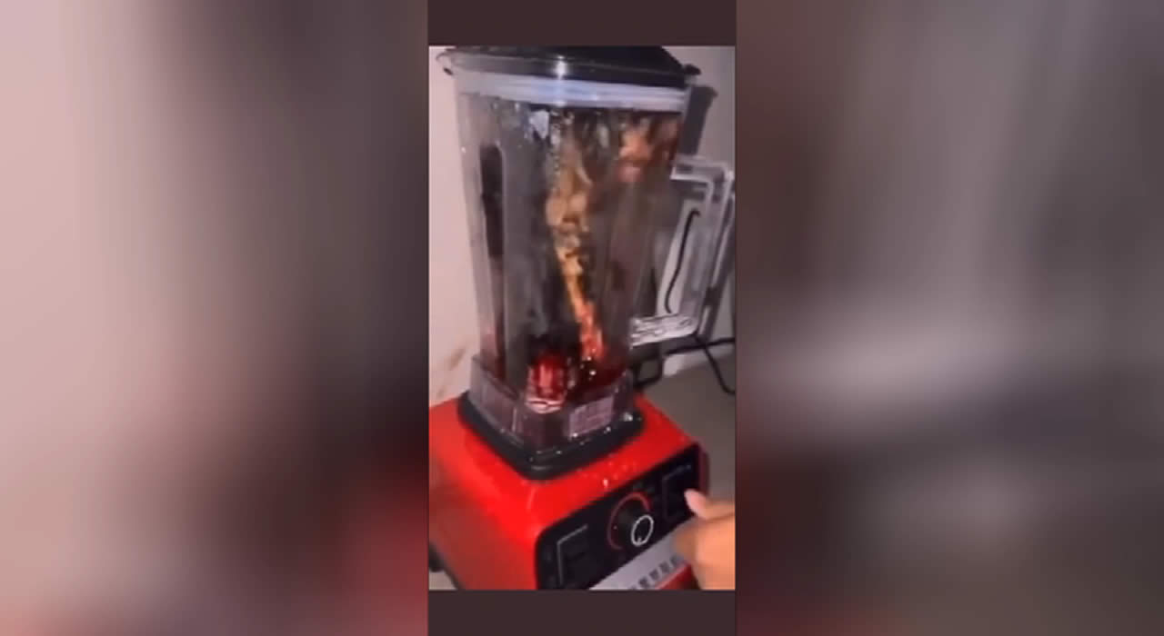 Preparing cat mince. Cat in a mixer. Video. DEADHOUSE