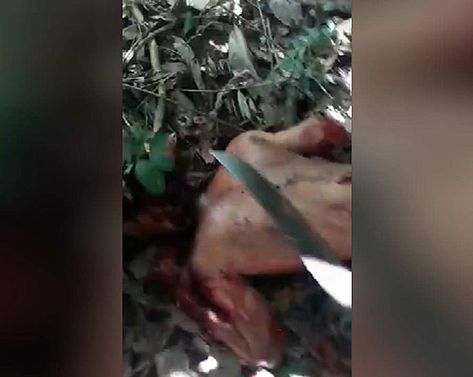 They cut off the head. Video