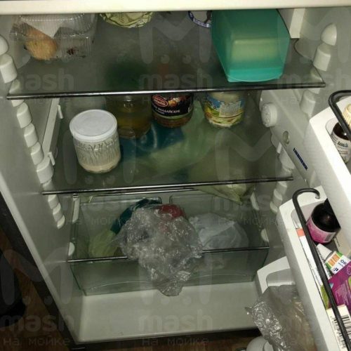Internals of Andy Kartright in the Marine fridge