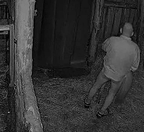 Zoophile had sex with a donkey