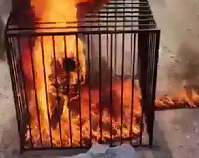 Terrorists burned a hostage alive