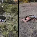 LPR fighter demonstrates the corpses of soldiers of the Armed Forces of Ukraine