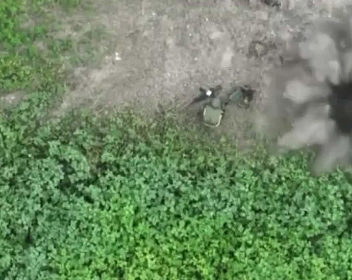 Soldier shitting in the bushes
