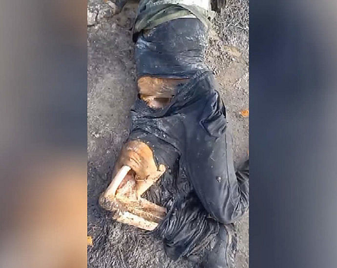 Russian corpses are eaten by dogs