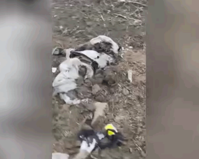 Corpses of Russians in Ukraine