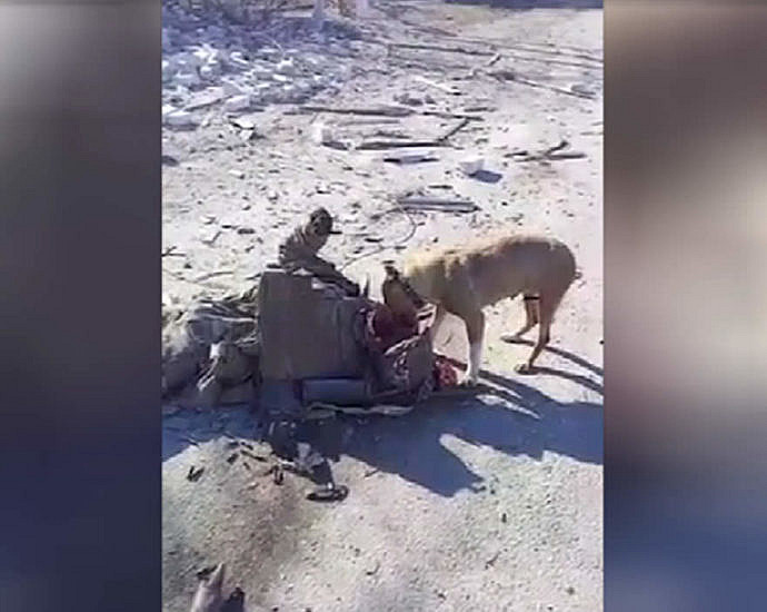 Corpses of Ukrainian soldiers are eaten by dogs