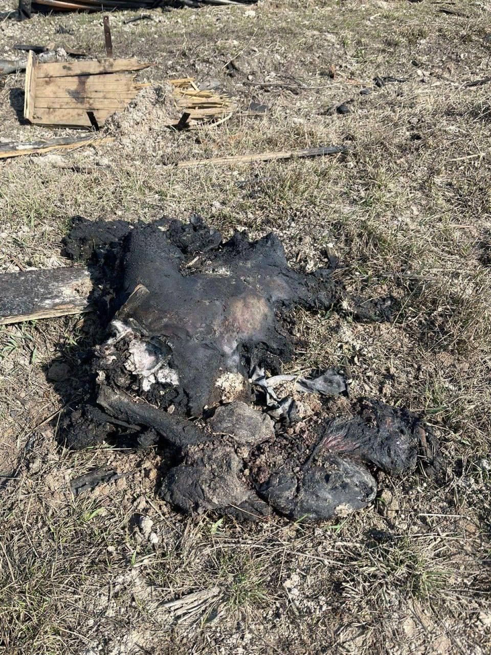 Unidentified human remains. Ukraine