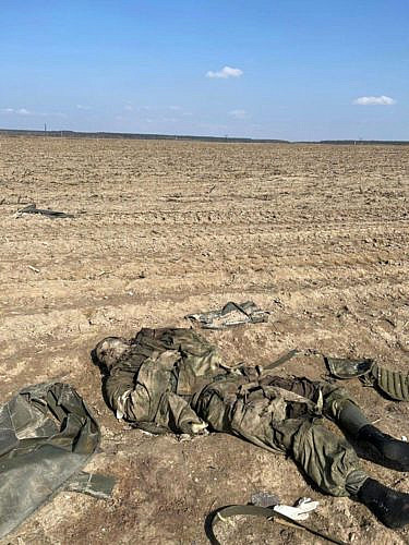 The corpse of a Russian soldier in the field