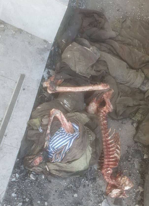 Corpse of Russian soldier eaten by dogs