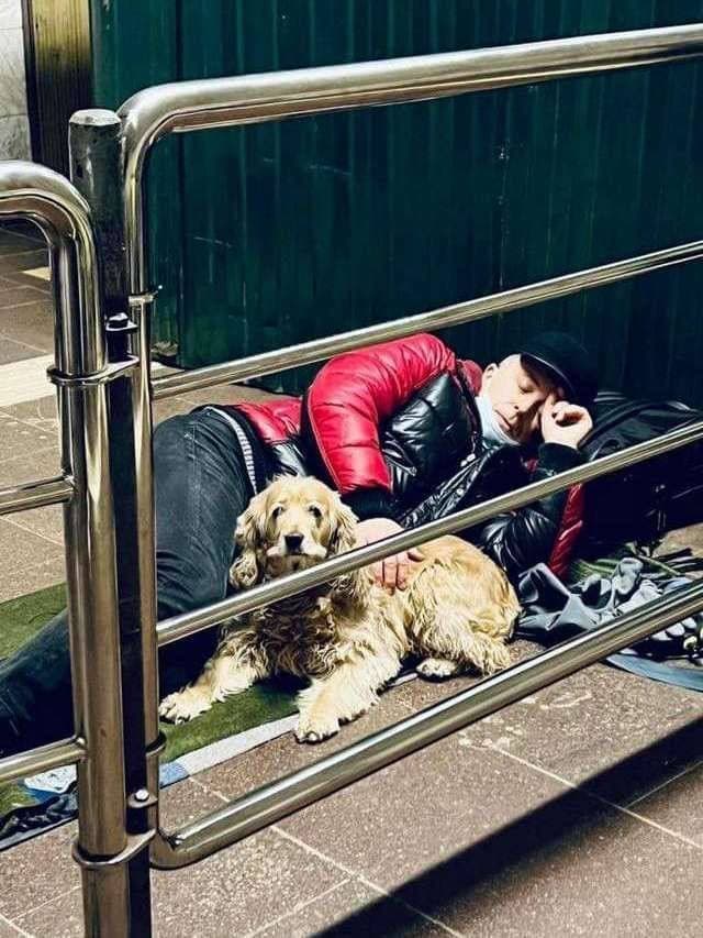A man with a dog sleeps in the subway to escape the bombing. Kyiv