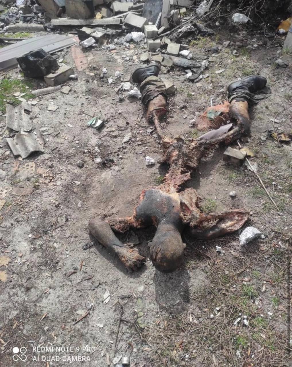 The corpse of a Russian fighter was eaten by dogs.