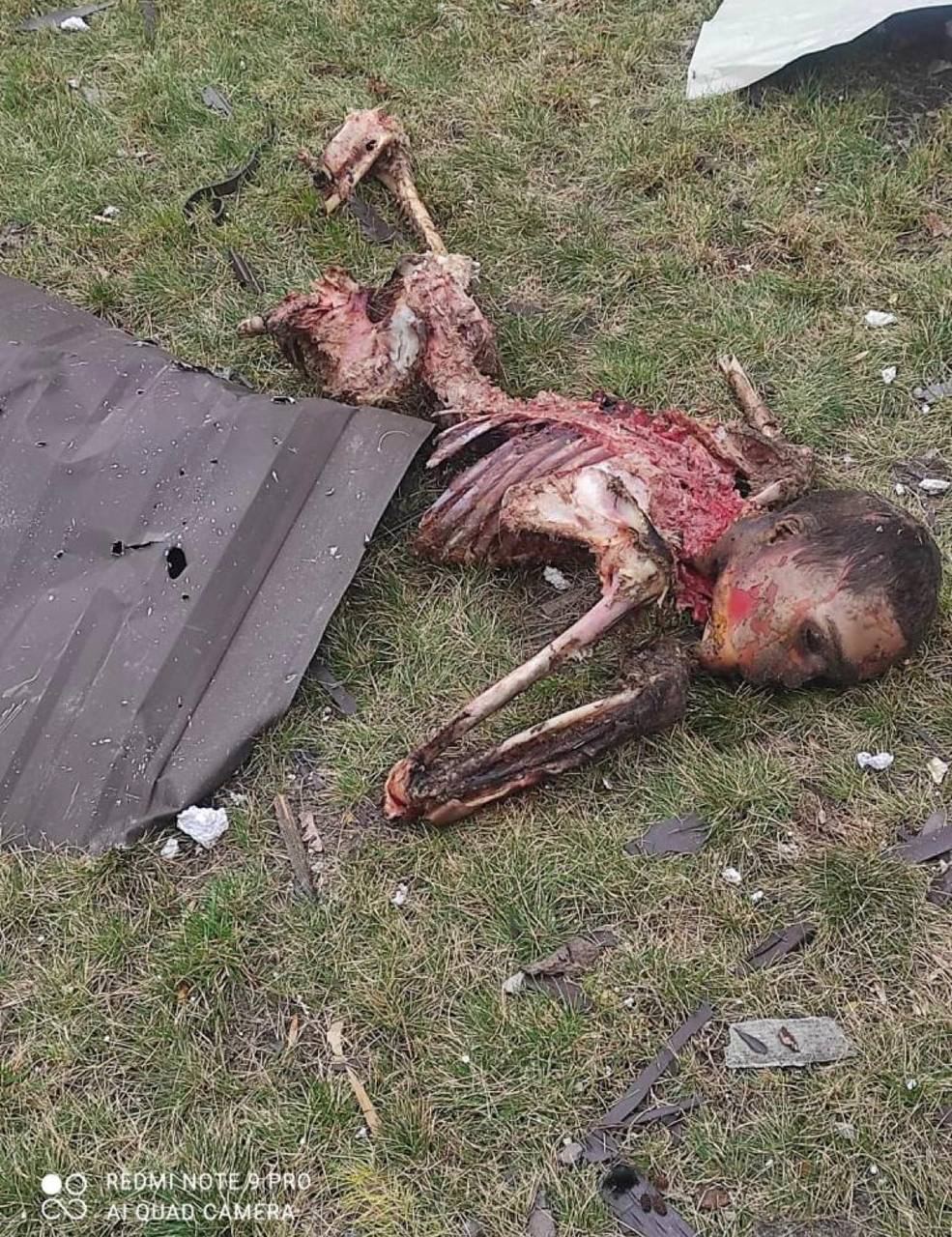 The corpse of a Russian fighter was eaten by dogs. Censor.