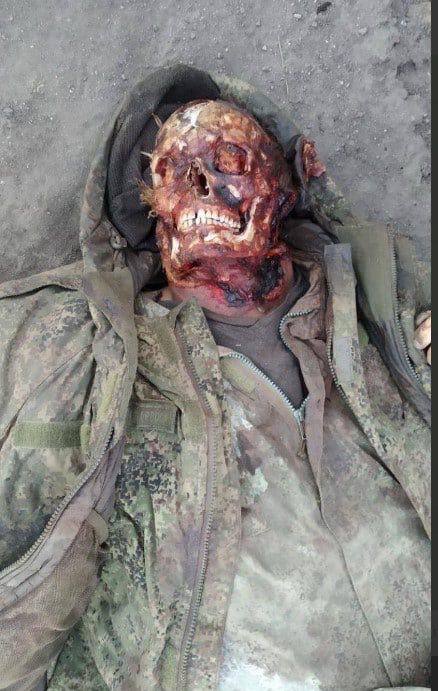 The face of the corpse of a Russian fighter was eaten by dogs