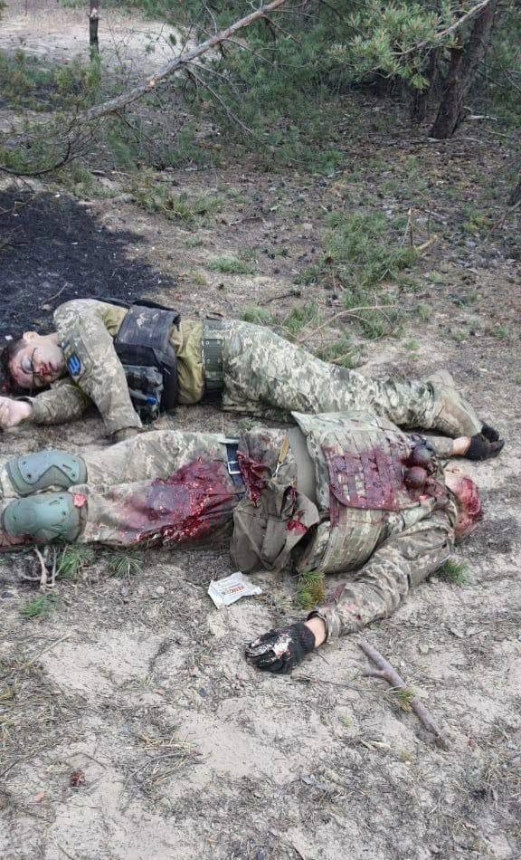 Corpses of Ukrainian soldiers